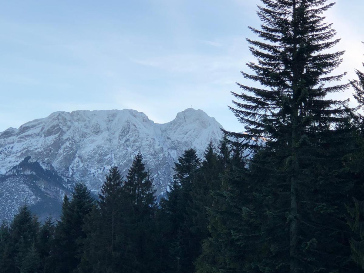 Dom Wypoczynkowy I Apartamenty "Nabucco" Z Widokiem Na Giewont I Gory Zakopane Ngoại thất bức ảnh