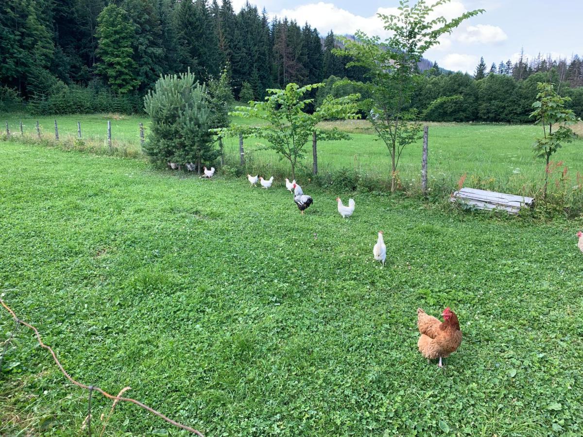 Dom Wypoczynkowy I Apartamenty "Nabucco" Z Widokiem Na Giewont I Gory Zakopane Ngoại thất bức ảnh