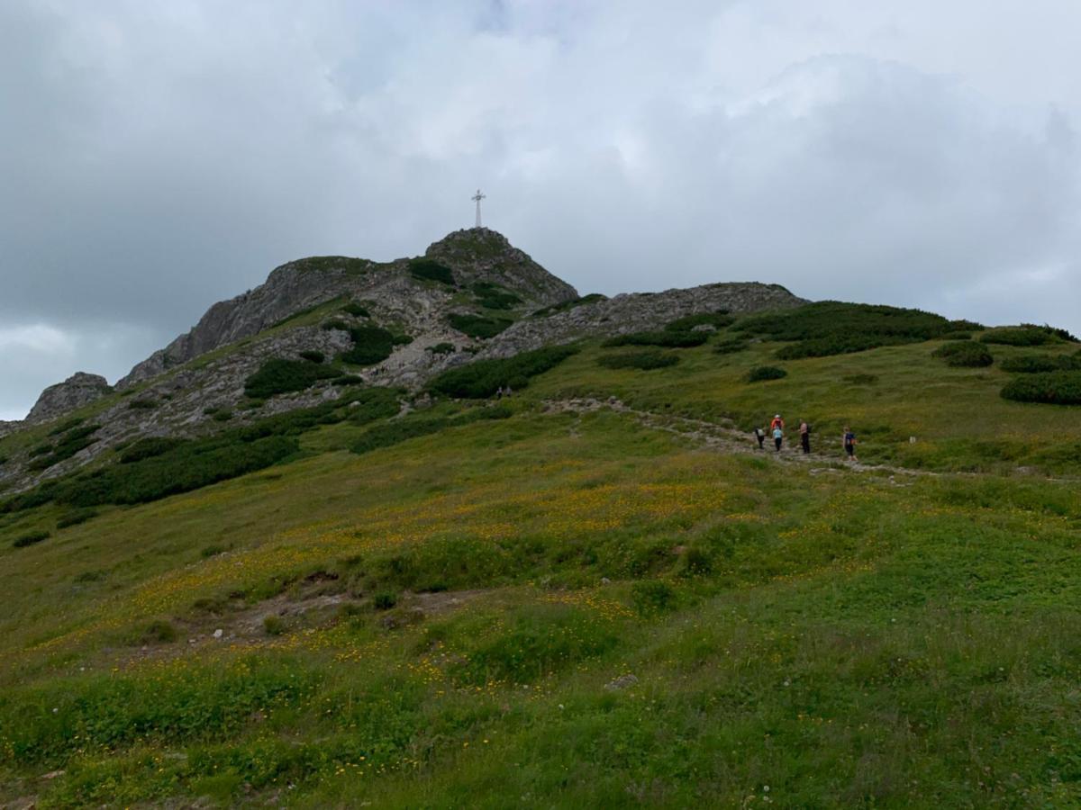 Dom Wypoczynkowy I Apartamenty "Nabucco" Z Widokiem Na Giewont I Gory Zakopane Ngoại thất bức ảnh