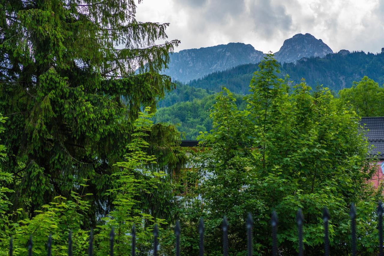 Dom Wypoczynkowy I Apartamenty "Nabucco" Z Widokiem Na Giewont I Gory Zakopane Ngoại thất bức ảnh